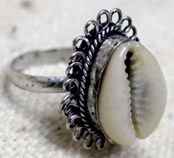 cowry-shell-ring2001p.jpg