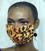African Zebra Print Face Mask